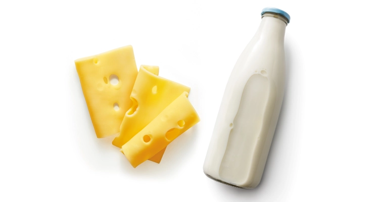 cheese-and-milk-752x400.webp