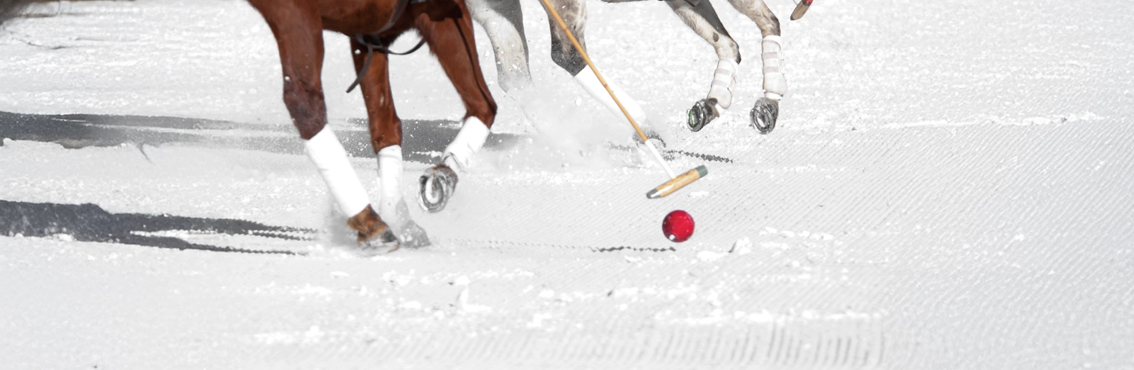 snow-polo-1600x522.webp